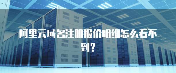 阿里云域名注册报价明细怎么看不到?