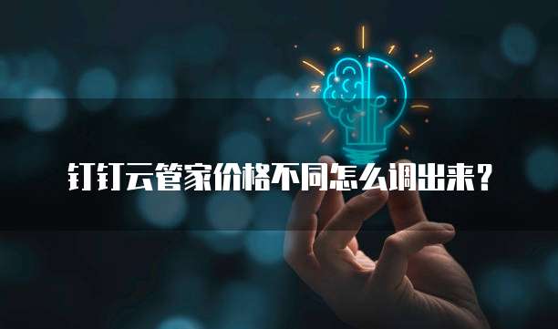钉钉云管家价格不同怎么调出来？