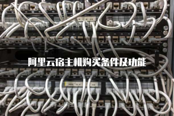 阿里云宿主机购买条件及功能