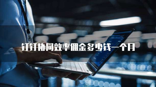 钉钉协同效率佣金多少钱一个月