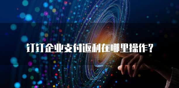 钉钉企业支付返利在哪里操作?