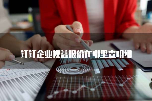 钉钉企业权益报价在哪里查明细
