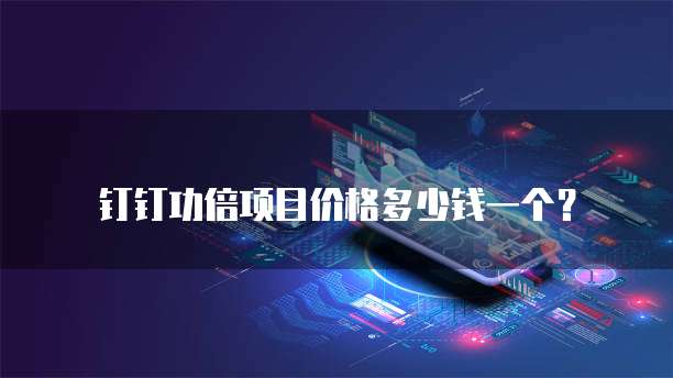 钉钉功倍项目价格多少钱一个?