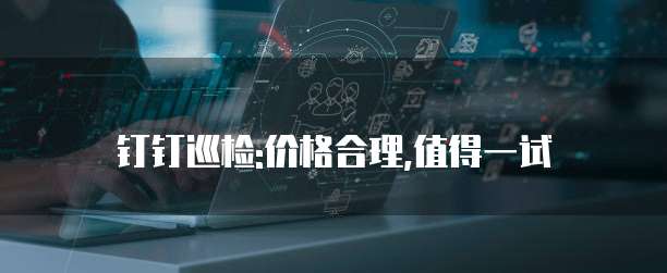 钉钉巡检:价格合理,值得一试