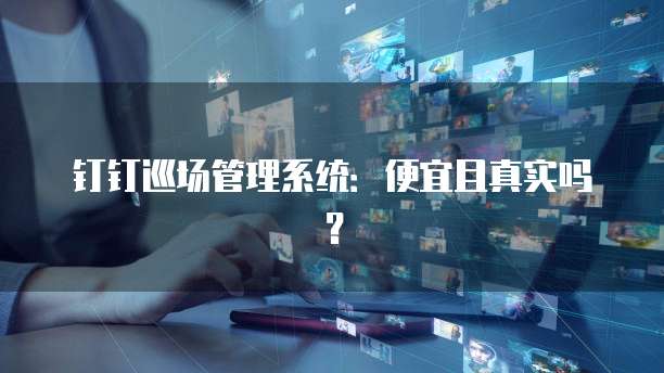 钉钉巡场管理系统:便宜且真实吗?