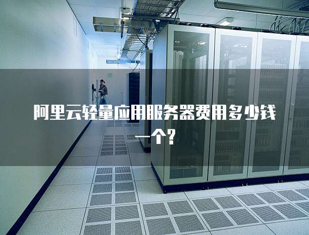 阿里云轻量应用服务器费用多少钱一个?