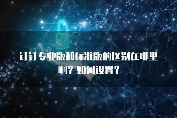 钉钉专业版和标准版的区别在哪里啊?如何设置?