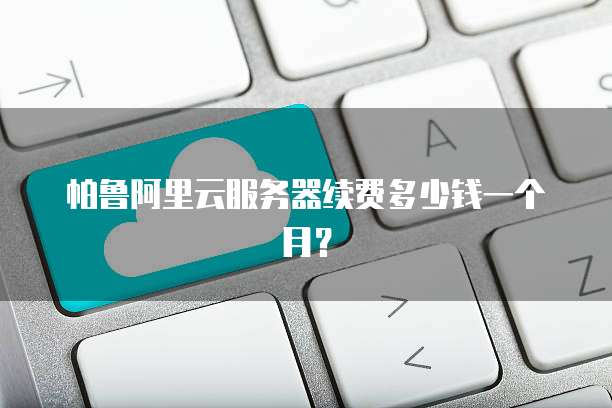 帕鲁阿里云服务器续费多少钱一个月?