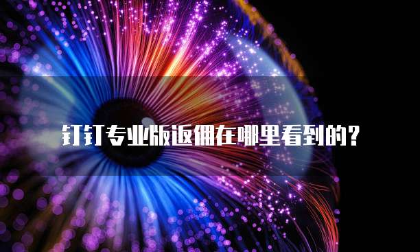 钉钉专业版返佣在哪里看到的?