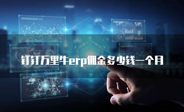 钉钉万里牛erp佣金多少钱一个月