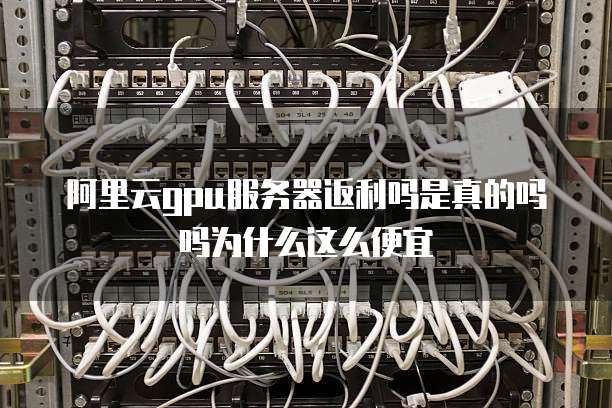 阿里云gpu服务器返利吗是真的吗吗为什么这么便宜