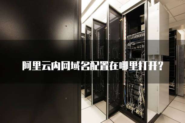 阿里云内网域名配置在哪里打开？