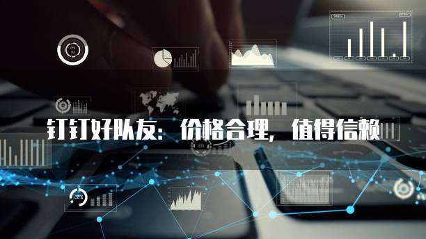 钉钉好队友:价格合理,值得信赖