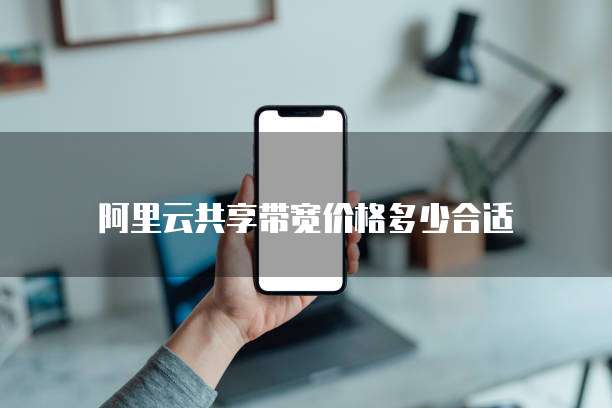 阿里云共享带宽价格多少合适