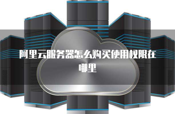 阿里云服务器怎么购买使用权限在哪里