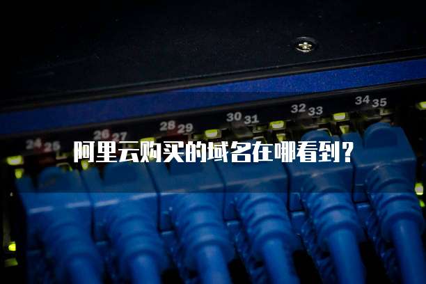 阿里云购买的域名在哪看到?