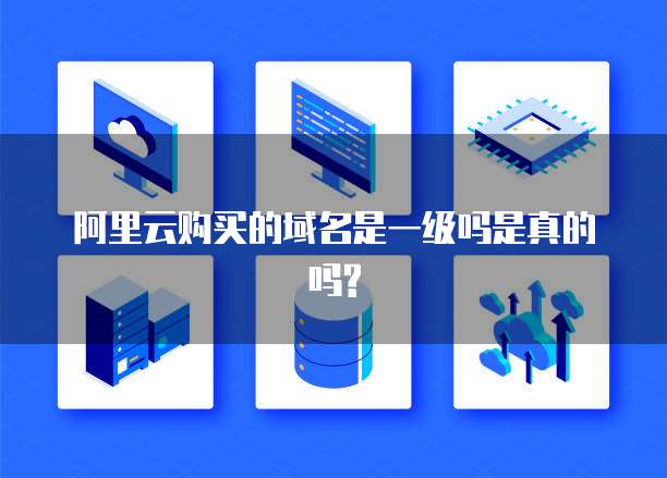 阿里云购买的域名是一级吗是真的吗?