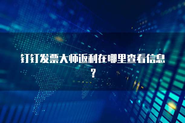 钉钉发票大师返利在哪里查看信息?
