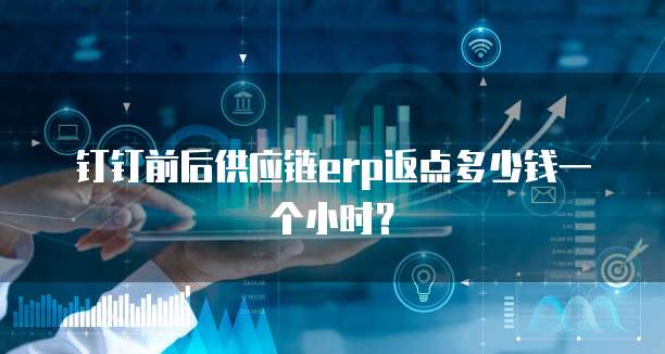 钉钉前后供应链erp返点多少钱一个小时?