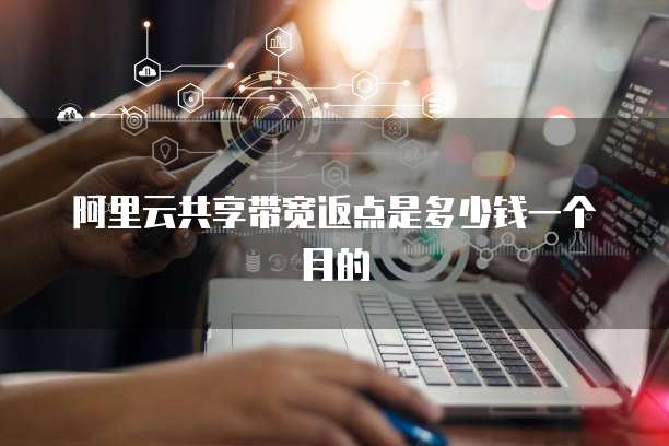 阿里云共享带宽返点是多少钱一个月的