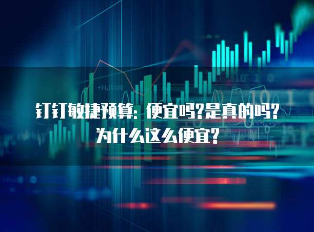 钉钉敏捷预算: 便宜吗?是真的吗?为什么这么便宜?