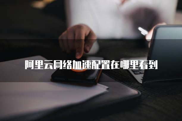 阿里云网络加速配置在哪里看到