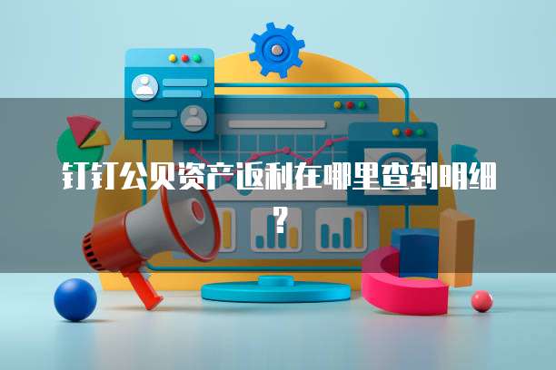 钉钉公贝资产返利在哪里查到明细?