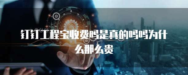 钉钉工程宝收费吗是真的吗吗为什么那么贵