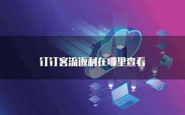 钉钉客流返利在哪里查看