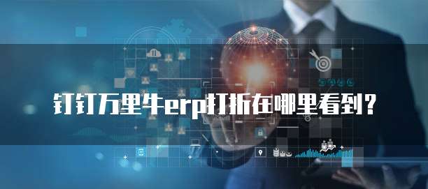 钉钉万里牛erp打折在哪里看到?