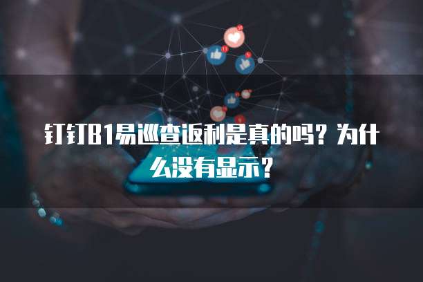 钉钉B1易巡查返利是真的吗?为什么没有显示?