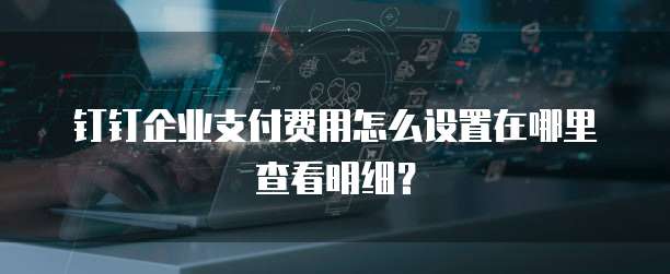 钉钉企业支付费用怎么设置在哪里查看明细?