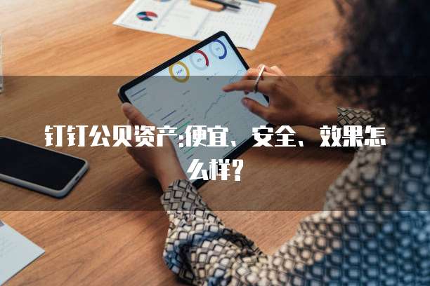 钉钉公贝资产:便宜、安全、效果怎么样?