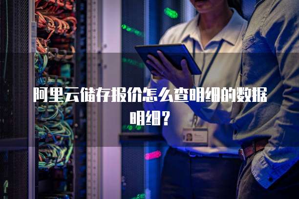 阿里云储存报价怎么查明细的数据明细?