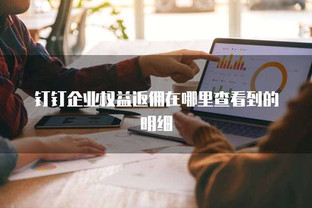 钉钉企业权益返佣在哪里查看到的明细