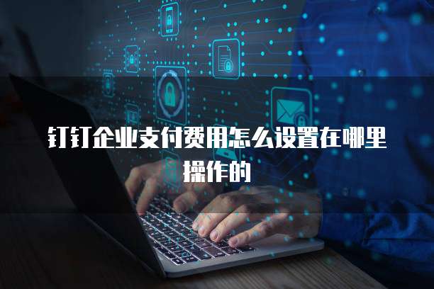 钉钉企业支付费用怎么设置在哪里操作的