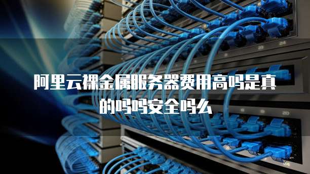 阿里云裸金属服务器费用高吗是真的吗吗安全吗么