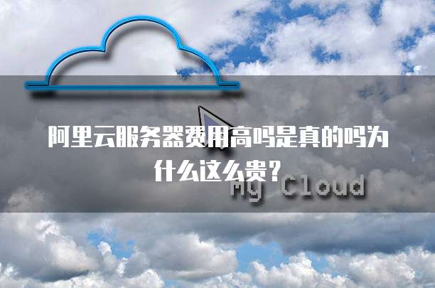 阿里云服务器费用高吗是真的吗为什么这么贵?