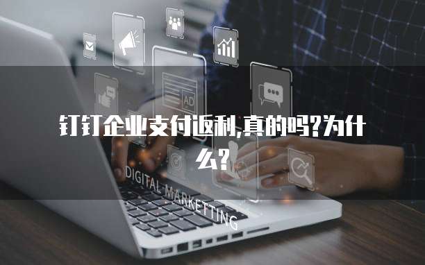 钉钉企业支付返利,真的吗?为什么?