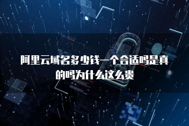 阿里云域名多少钱一个合适吗是真的吗为什么这么贵