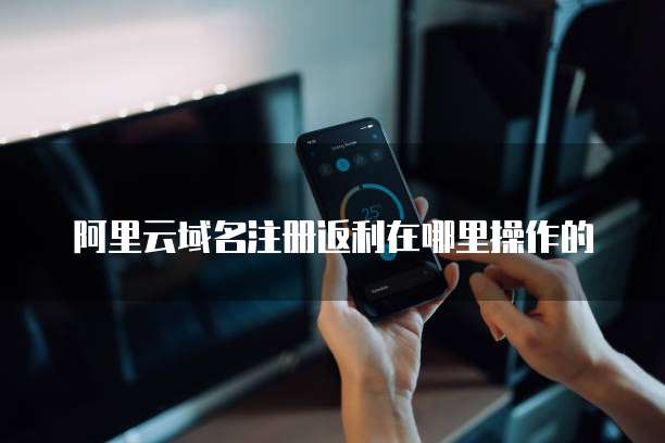 阿里云域名注册返利在哪里操作的