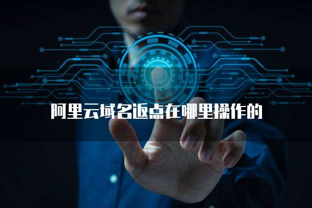 阿里云域名返点在哪里操作的
