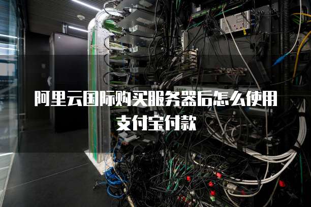 阿里云国际购买服务器后怎么使用支付宝付款