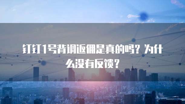 钉钉1号背调返佣是真的吗？为什么没有反馈？