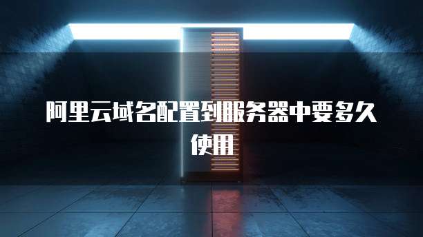 阿里云域名配置到服务器中要多久使用