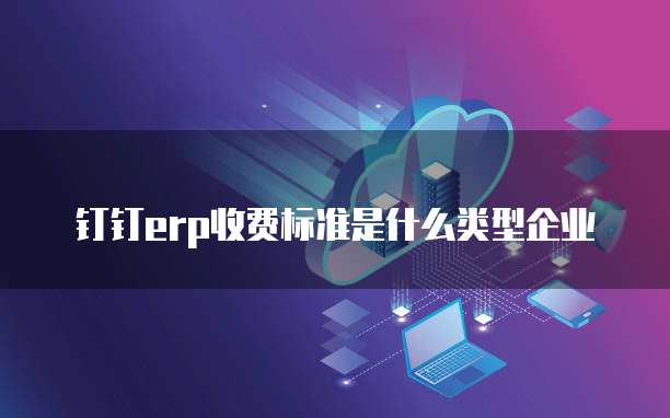 钉钉erp收费标准是什么类型企业