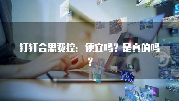 钉钉合思费控:便宜吗?是真的吗?