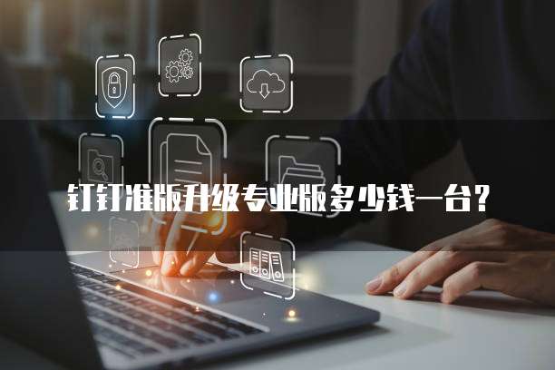 钉钉准版升级专业版多少钱一台？