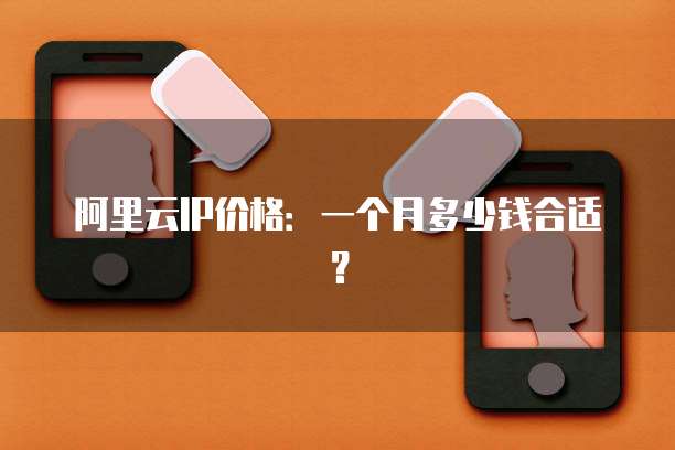阿里云IP价格:一个月多少钱合适?