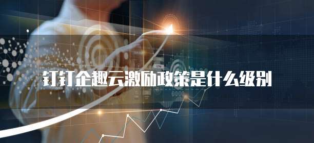 钉钉企趣云激励政策是什么级别